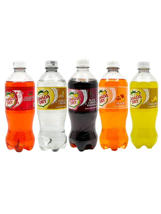 Canada Dry Bundle